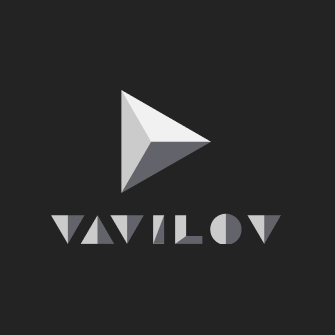 Проект "Vavilov com Управленческая и финансовая отчетность"